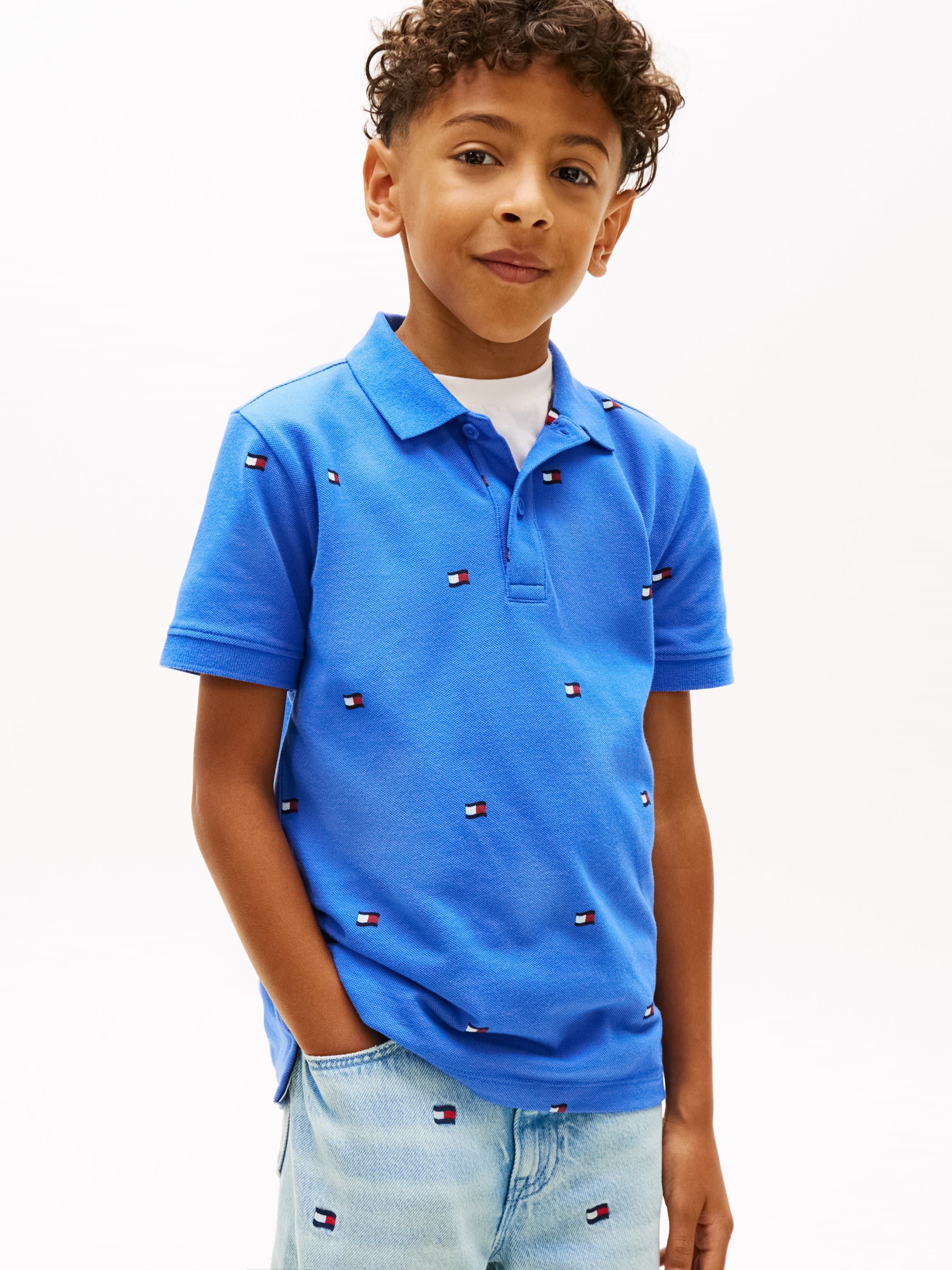 Regular Fit Wavy Flag Embroidery Polo Shirt